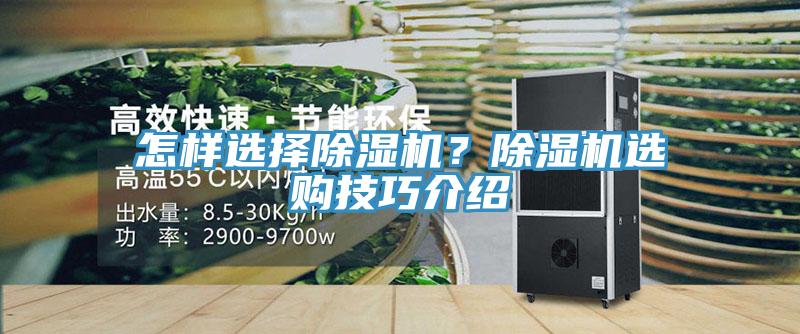 怎樣選擇除濕機(jī)？除濕機(jī)選購(gòu)技巧介紹