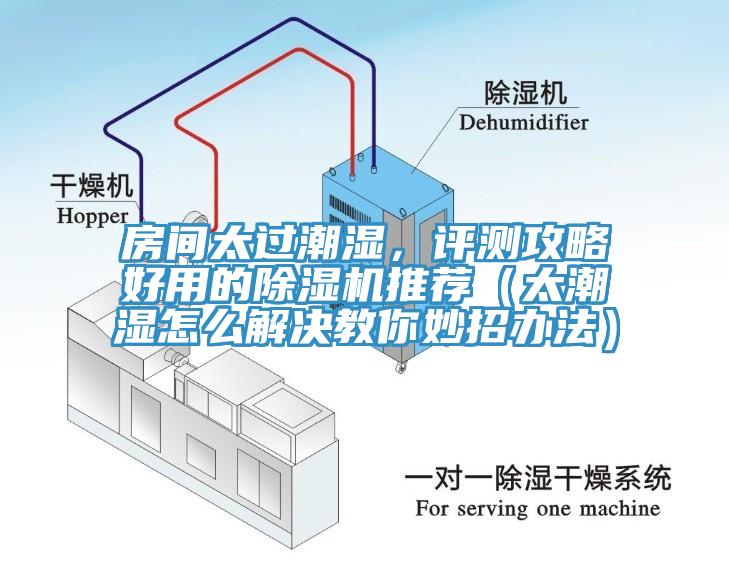房間太過潮濕，評(píng)測攻略好用的除濕機(jī)推薦（太潮濕怎么解決教你妙招辦法）