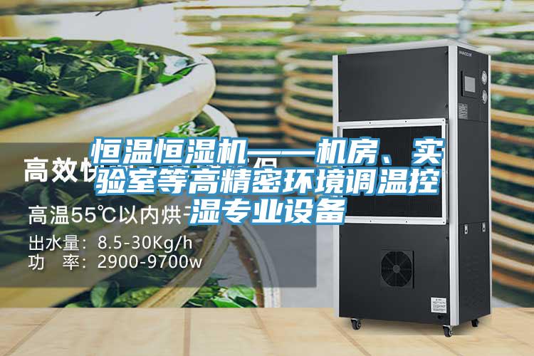 恒溫恒濕機——機房、實驗室等高精密環(huán)境調溫控濕專業(yè)設備
