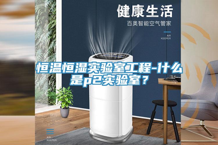 恒溫恒濕實(shí)驗(yàn)室工程-什么是p2實(shí)驗(yàn)室？