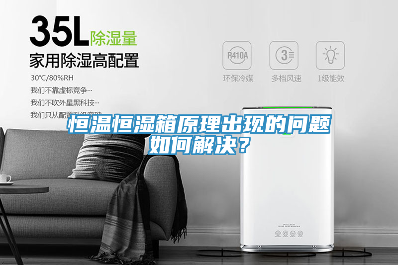 恒溫恒濕箱原理出現(xiàn)的問(wèn)題如何解決？