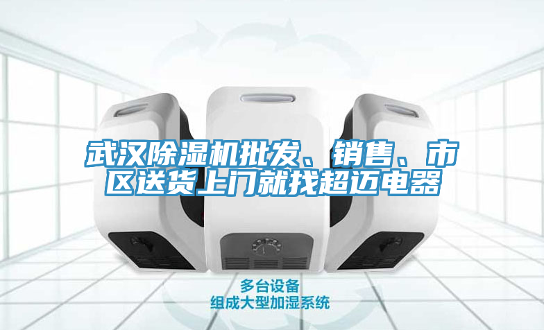 武漢除濕機(jī)批發(fā)、銷售、市區(qū)送貨上門就找超邁電器