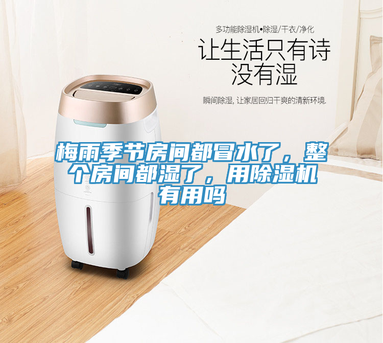 梅雨季節(jié)房間都冒水了，整個房間都濕了，用除濕機(jī)有用嗎