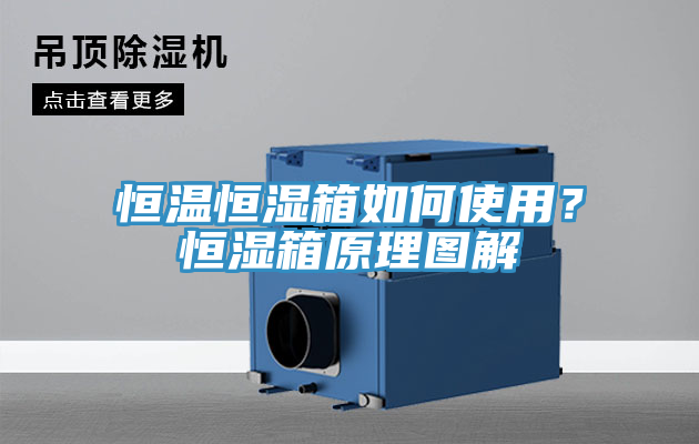 恒溫恒濕箱如何使用？恒濕箱原理圖解