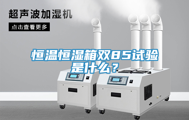 恒溫恒濕箱雙85試驗(yàn)是什么？