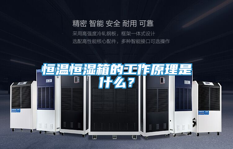 恒溫恒濕箱的工作原理是什么？