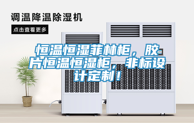 恒溫恒濕菲林柜，膠片恒溫恒濕柜，非標設計定制！