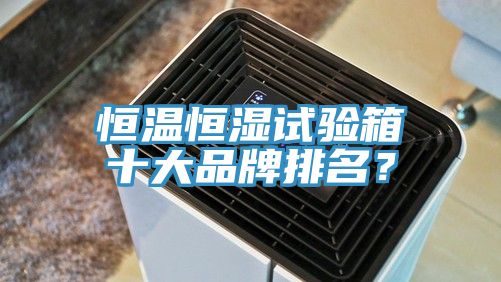 恒溫恒濕試驗(yàn)箱十大品牌排名？