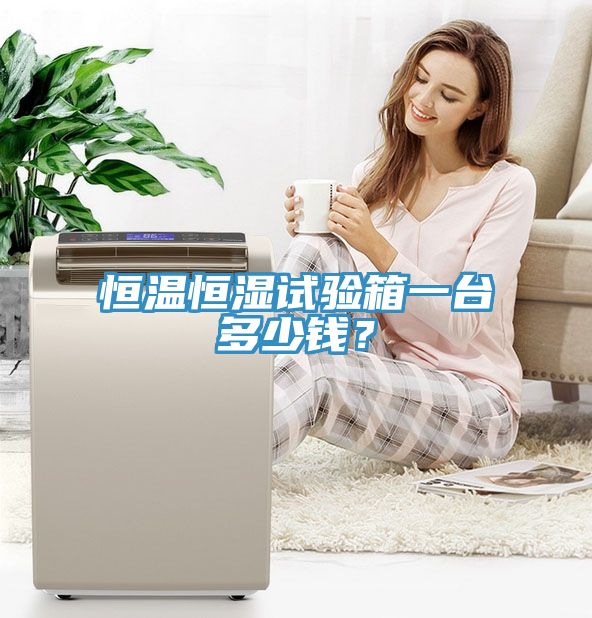 恒溫恒濕試驗箱一臺多少錢？