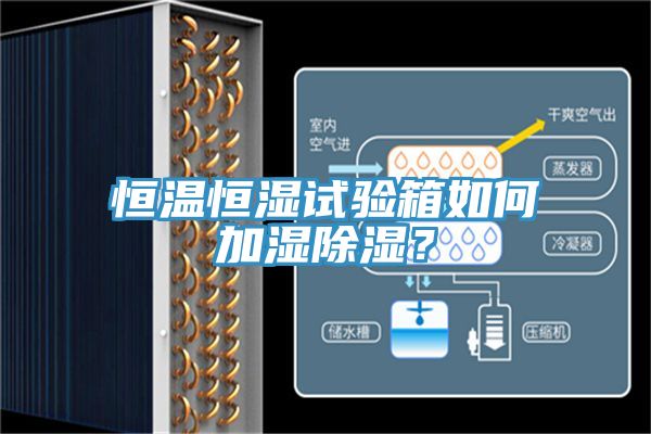恒溫恒濕試驗箱如何加濕除濕？