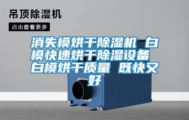 消失模烘干除濕機 白?？焖俸娓沙凉裨O(shè)備 白模烘干質(zhì)量 既快又好