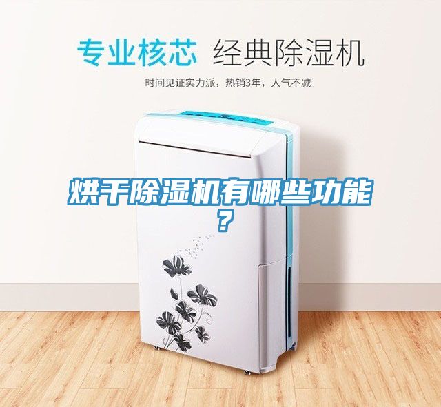烘干除濕機有哪些功能？