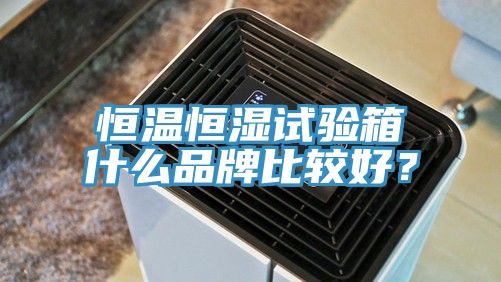 恒溫恒濕試驗箱什么品牌比較好？