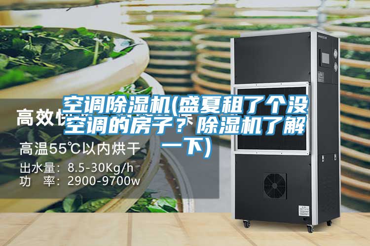 空調(diào)除濕機(jī)(盛夏租了個(gè)沒(méi)空調(diào)的房子？除濕機(jī)了解一下)