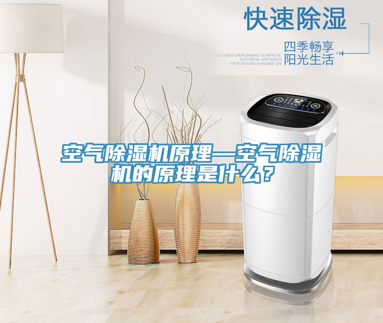 空氣除濕機(jī)原理—空氣除濕機(jī)的原理是什么？