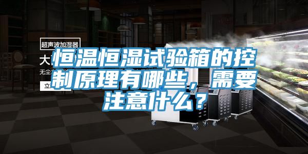 恒溫恒濕試驗(yàn)箱的控制原理有哪些，需要注意什么？