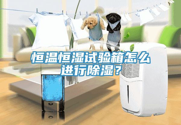 恒溫恒濕試驗箱怎么進行除濕？