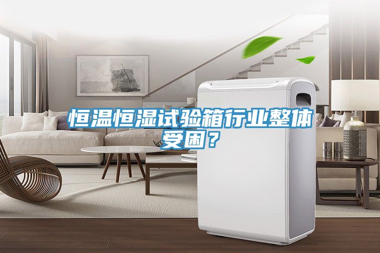 恒溫恒濕試驗(yàn)箱行業(yè)整體受困？