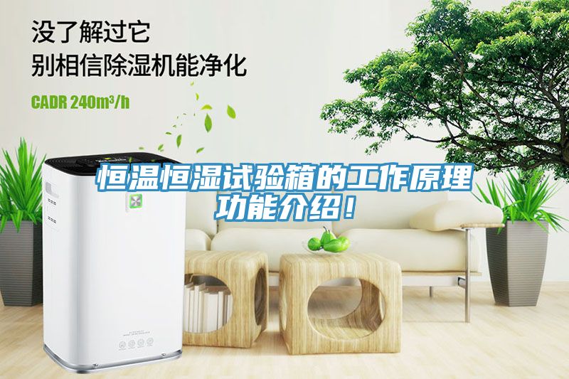 恒溫恒濕試驗(yàn)箱的工作原理功能介紹！