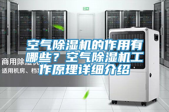 空氣除濕機(jī)的作用有哪些？空氣除濕機(jī)工作原理詳細(xì)介紹