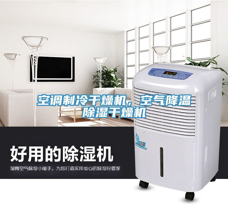 空調(diào)制冷干燥機，空氣降溫除濕干燥機