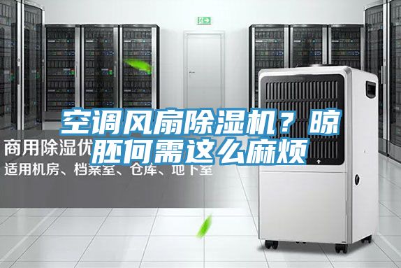 空調(diào)風扇除濕機？晾胚何需這么麻煩