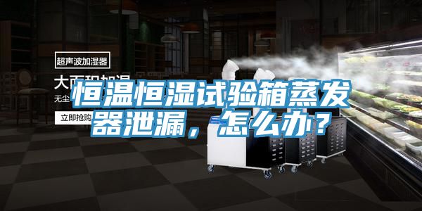 恒溫恒濕試驗(yàn)箱蒸發(fā)器泄漏，怎么辦？