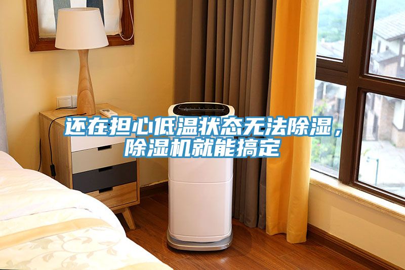 還在擔(dān)心低溫狀態(tài)無法除濕，除濕機就能搞定