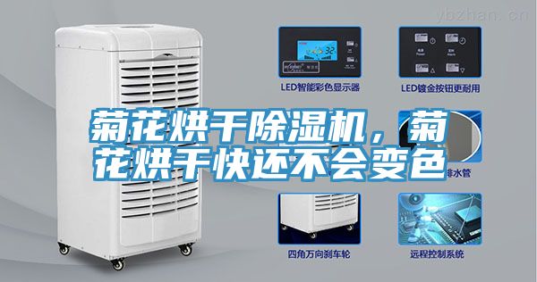 菊花烘干除濕機，菊花烘干快還不會變色