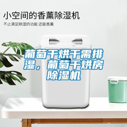 葡萄干烘干需排濕，葡萄干烘房除濕機(jī)