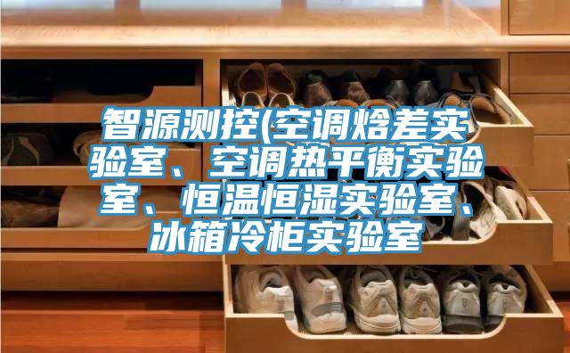 智源測控(空調(diào)焓差實驗室、空調(diào)熱平衡實驗室、恒溫恒濕實驗室、冰箱冷柜實驗室