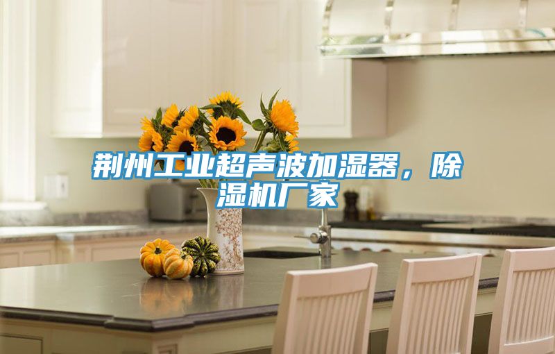 荊州工業超聲波加濕器，除濕機廠家
