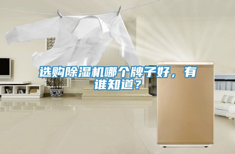 選購除濕機(jī)哪個(gè)牌子好，有誰知道？