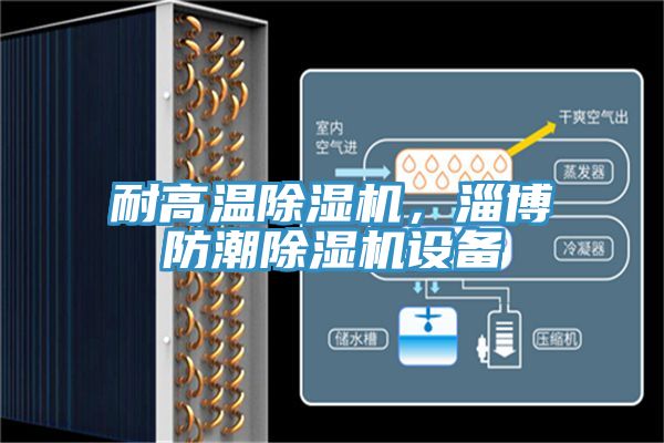耐高溫除濕機，淄博防潮除濕機設(shè)備
