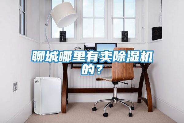 聊城哪里有賣除濕機的？