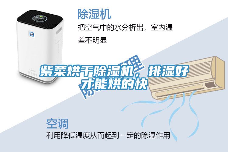 紫菜烘干除濕機，排濕好才能烘的快