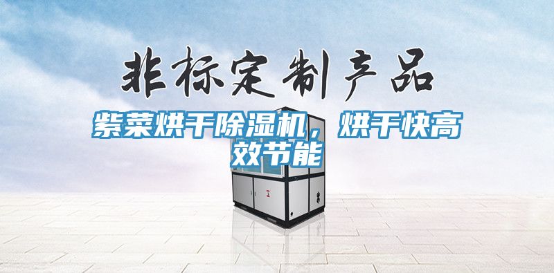 紫菜烘干除濕機，烘干快高效節(jié)能