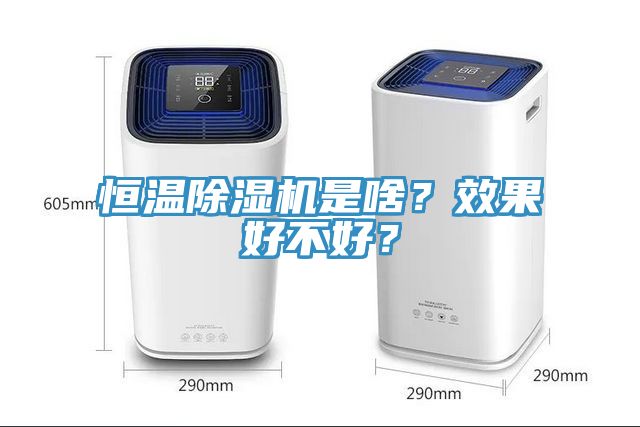 恒溫除濕機是啥？效果好不好？