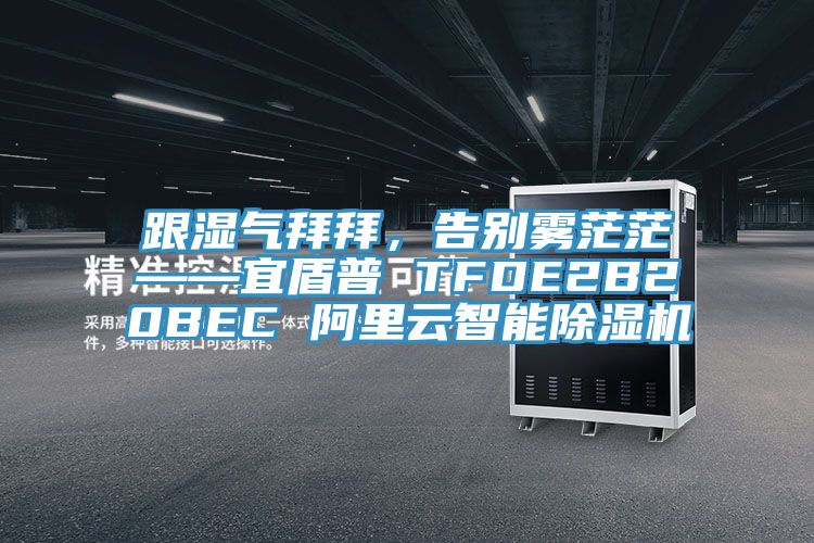 跟濕氣拜拜，告別霧茫?！硕芷?TFDE2B20BEC 阿里云智能除濕機(jī)
