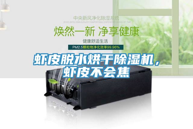蝦皮脫水烘干除濕機，蝦皮不會焦