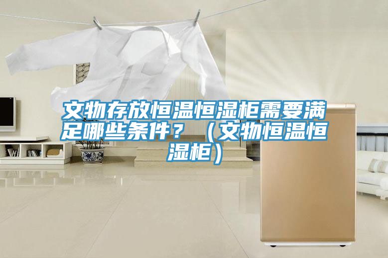 文物存放恒溫恒濕柜需要滿足哪些條件？（文物恒溫恒濕柜）
