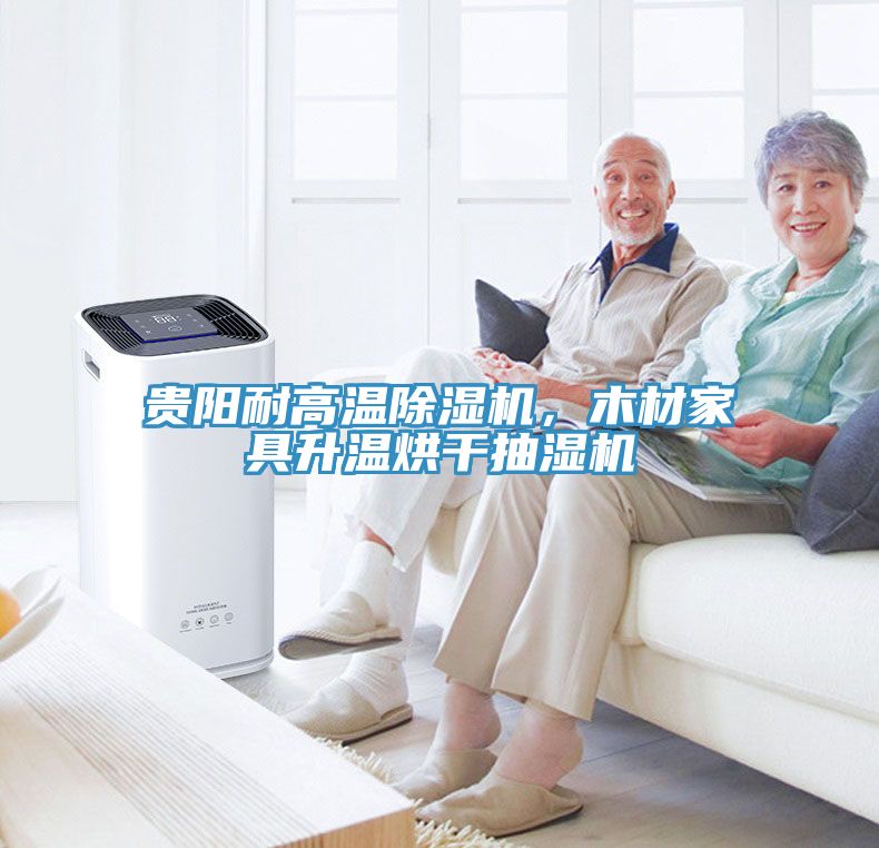 貴陽耐高溫除濕機(jī)，木材家具升溫烘干抽濕機(jī)