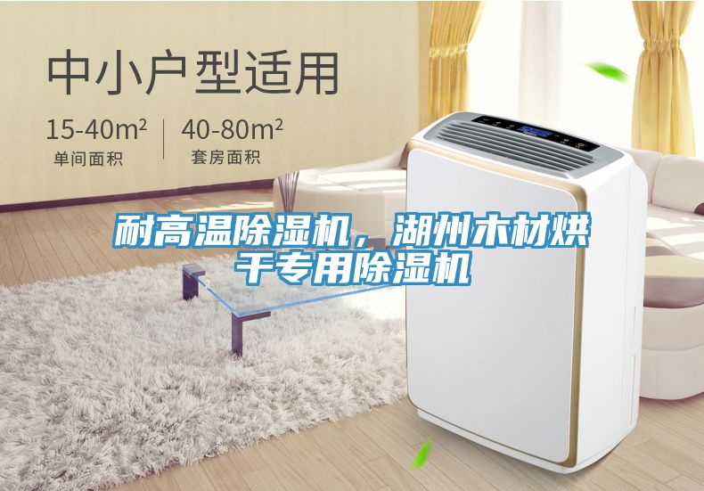 耐高溫除濕機，湖州木材烘干專用除濕機