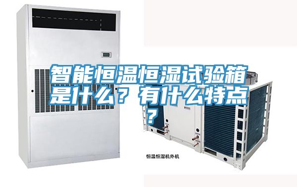 智能恒溫恒濕試驗(yàn)箱是什么？有什么特點(diǎn)？