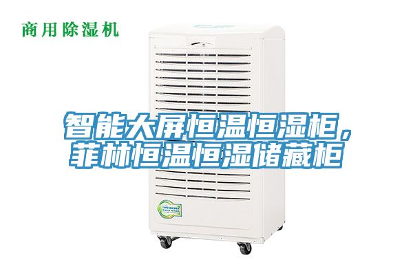 智能大屏恒溫恒濕柜，菲林恒溫恒濕儲(chǔ)藏柜