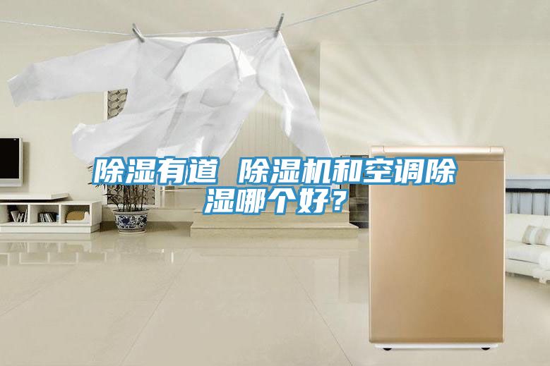 除濕有道 除濕機(jī)和空調(diào)除濕哪個(gè)好？