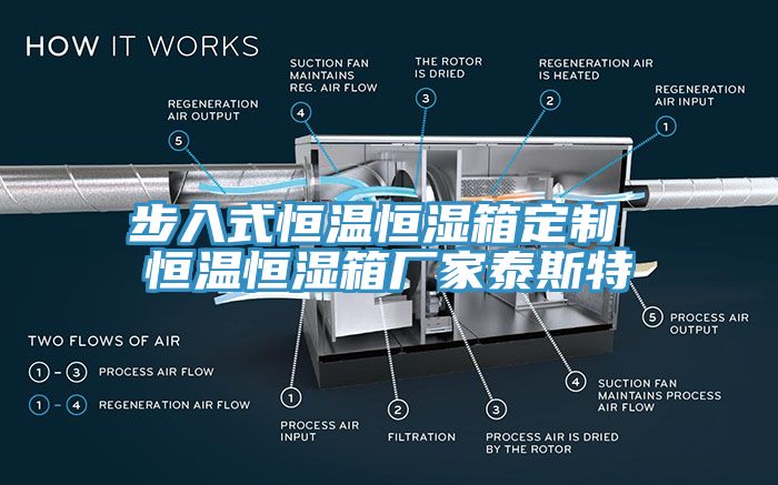 步入式恒溫恒濕箱定制 恒溫恒濕箱廠(chǎng)家泰斯特