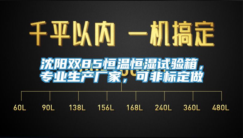 沈陽(yáng)雙85恒溫恒濕試驗(yàn)箱，專業(yè)生產(chǎn)廠家，可非標(biāo)定做