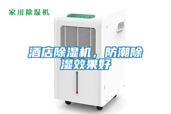 酒店除濕機，防潮除濕效果好