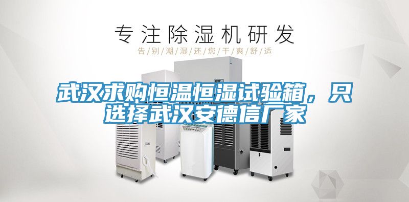 武漢求購(gòu)恒溫恒濕試驗(yàn)箱，只選擇武漢安德信廠家